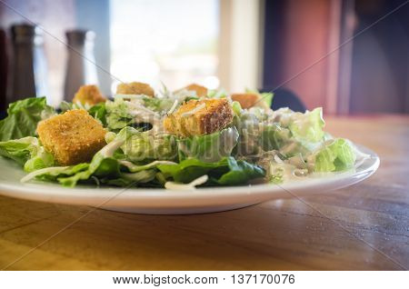 Fresh organic caesar salad with grated asiago cheese