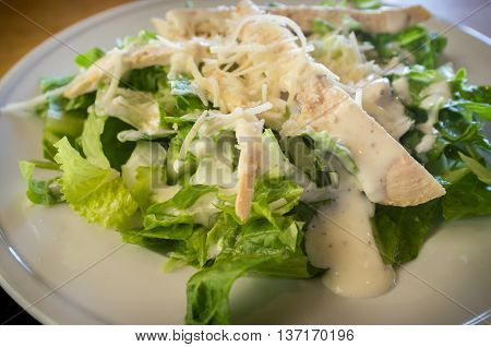 Fresh organic caesar salad with grated asiago cheese