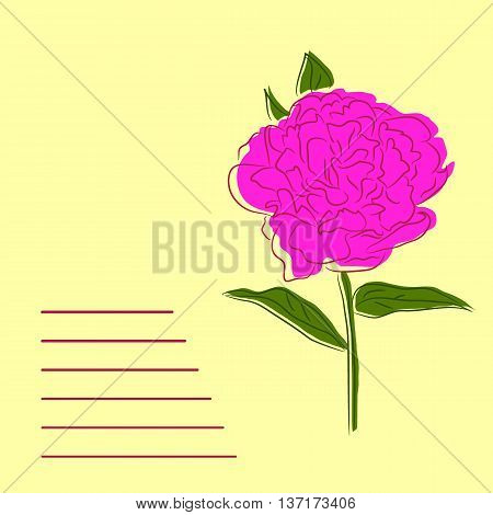 Pink peony with green leaves and yellow background. Vector illustration for your postcard cover booklet and to print T-shirt.
