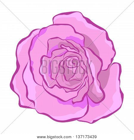 Lush beautiful purple rose. Vector illustration for print website cards textiles