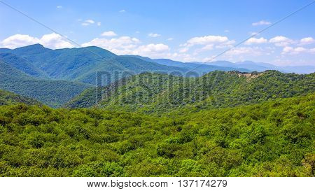 Hills and forests seen from above. Georgia.