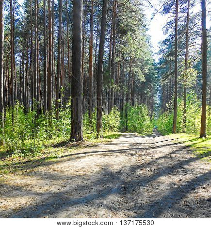 Light pine forest landscape green bushes along the road strewn with knurled old yellow needles of last year the long shadows of tall trees. Illustration made in the art oil pattern