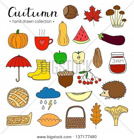 Hand drawn autumn items isolated on white background. Nut leaf pumpkin umbrella apple pie mushroom hedgehog rowanberry melon jam hot drink wicker basket rain boots acorn.