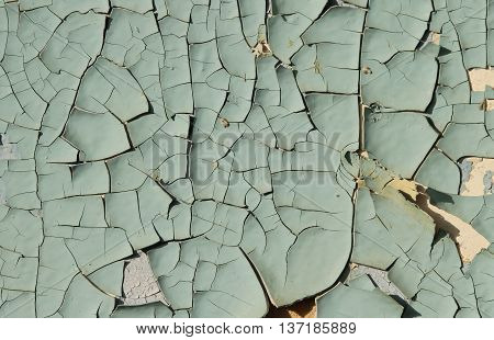 Old cracked paint blue on top of a white wall, side lighting sunlight