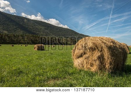 sky nature field hay farm summer blue golden