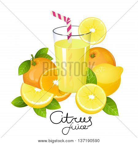 Fresh lemonade with orange and lemon fruit slice. Realistic glass of juice with juicy citrus with leaves vector illustration isolated on white background.