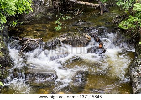 Motion blur of a small Scottish stream in the Trossachs as it cascades over ancient rocks as it flows down to a loch below.