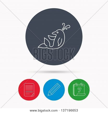 Dolphin icon. Cetacean mammal sign. Delphinidae with fountain symbol. Calendar, pencil or edit and document file signs. Vector