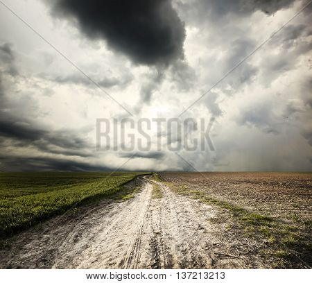 The beautiful landscape with field with green wheat and  road in the middle of the meadow and stormy sky with dark clouds  