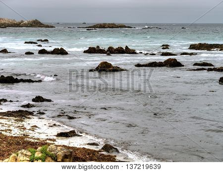 Asilomar State Marine Reserve Monterey Bay California
