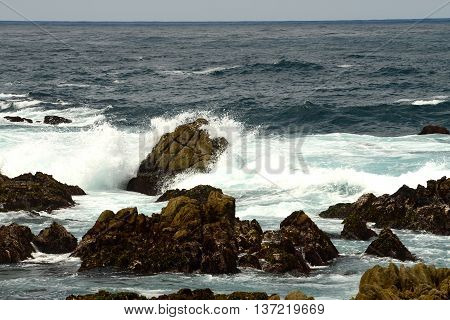 Asilomar State Marine Reserve Monterey Bay California