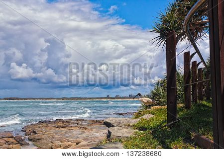 Ibis By The Beach