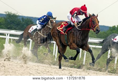 Horse race for the traditional prize Anilina in Pyatigorsk,the largest in Russia.