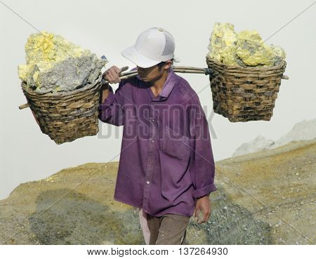 IJEN VOLCANO INDONESIA - JAN 10: Worker carrying sulfur inside Ijen crater on January 10 2011 in Ijen Volcano Indonesia. He carries the load of around 60kg to the top of the rip and then 3km down.