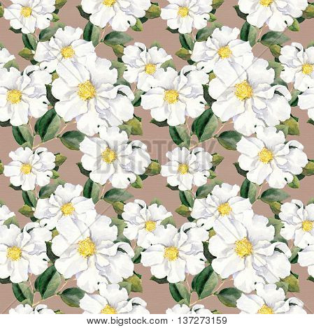 Foral pattern with white flowers magnolia. Watercolor