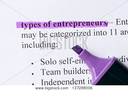 Types Of Enterpreneurs Word Highlighted