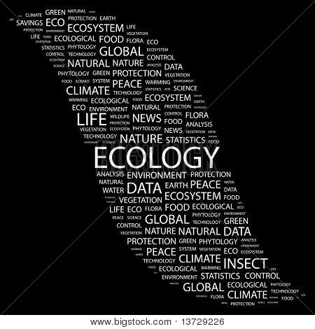 ECOLOGY. Word collage on black background. Illustration with different association terms.