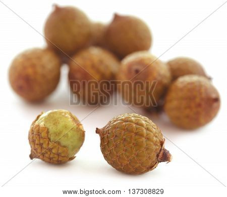 Tropical Calamus palm fruits over white background
