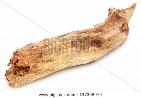 Close up of Bogwood over white background
