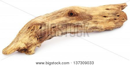 Close up of Bogwood over white background