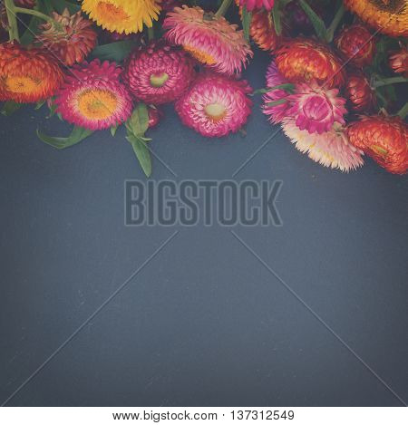 Everlasting flowers border on black stone with copy space, retro toned