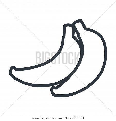 Fruit healthy food isolated flt icon, vector illustration graphic design.