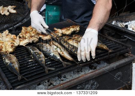 Plenty of chicken tabaka and fish grilled at barbecue. Mackerel bbq outdoors at picnic, party. Street food, roasted meat and seafood grill takeaway at grate. Chef hands taking dish
