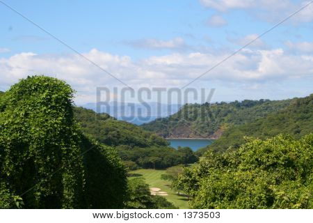 Dzsungel Golf