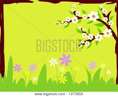 Flowers In Spring