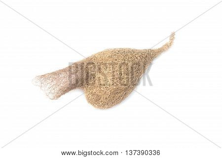 ricebird bird nest on white background .