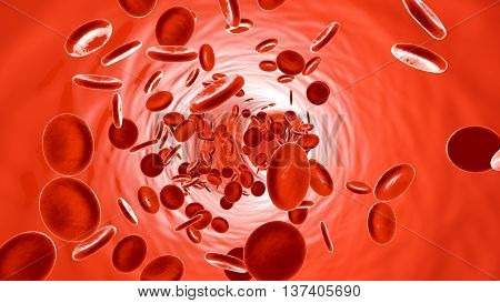 Flowing Erythrocyte Cells in a Vein or Artery.