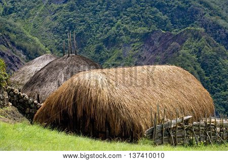 A traditional village in Papua in  Indonesia