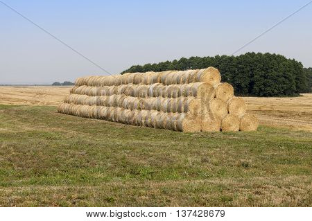 photographed close-up straw haystacks piled together on each other
