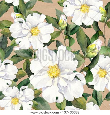 Foral pattern with white flowers magnolia. Watercolor