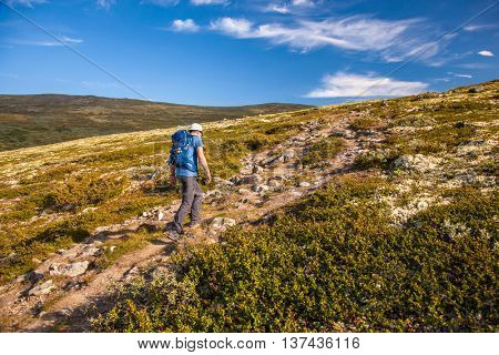 hiker with backpack traveling in Norway mountains Dovre