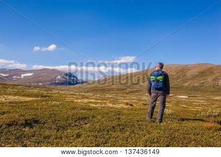 hiker with backpack traveling in Norway mountains Dovrefjell