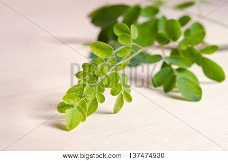 Moringa Leaf On Wooden Board Background