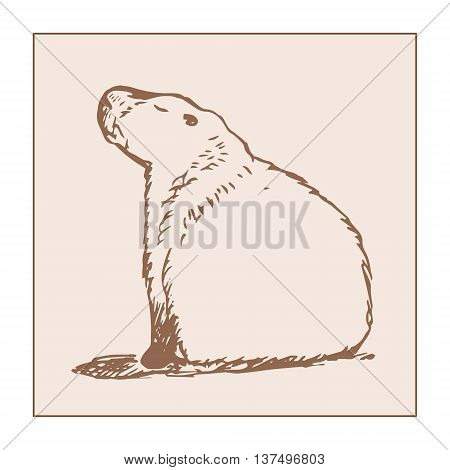 Graphic image large water rodent. Colored drawing - capybara brown. Vector illustration