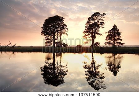 golden sunset behind pine trees reflected in lake in summer