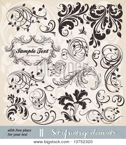 Vector Set: kalligraphische Designelemente und Seite Dekoration - viele nützliche Elemente zu verschönern 