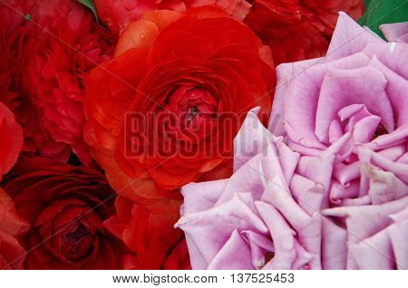 Pink roses and red peonies background detail