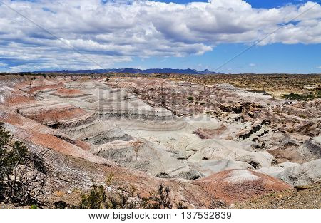 Valle De La Luna. Ischigualasto Provincial Park. Argentina