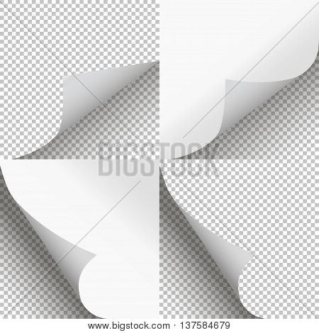 Pages Curl Set Stylish Illustration Vector Design