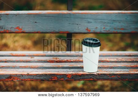 On the bench is a white coffee cup. Autumn colors