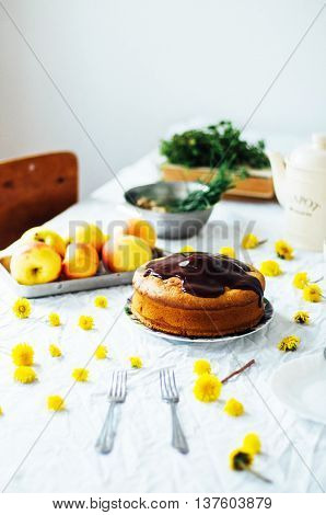 Traditional Homemade Chocolate Cake. Rustic Style And Natural Li