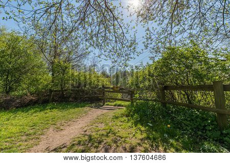 Landscape in northern germany with blue sky