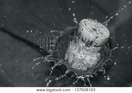 drops of water splashes from under the cork thrown into the water