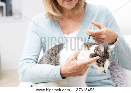 Woman Applying Tick And Flea Treatment To Pet Cat
