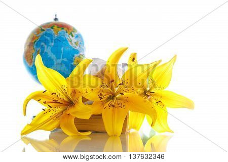 Globe with books and flowers on a white background