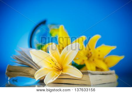 Globe with books and flowers on a blue background